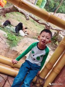 猴王吃瓜视频,瓜果盛宴欢乐多