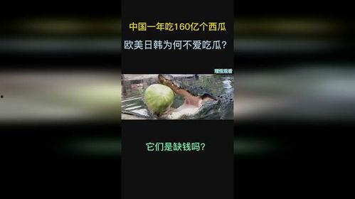 美国中国吃瓜视频下载,本土化内容如何征服海外观众？